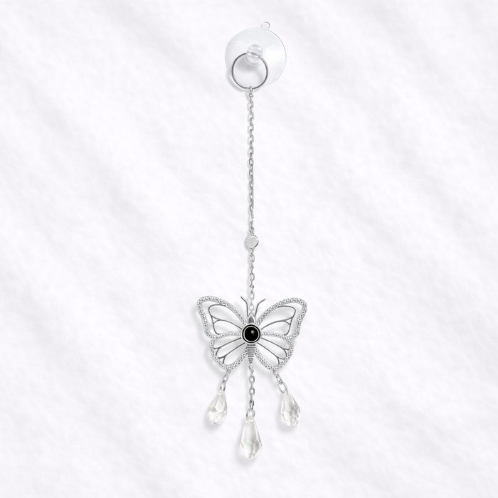 Butterfly Photo Sun Catcher with Picture Inside